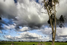 巴薩副主席贊賞貝林厄姆比賽表現出色.